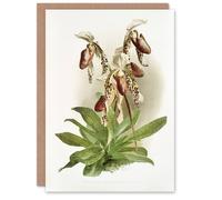 Artery8 Frederick Sander Cypripedium Morganiae Orchid Flowers Blank Art Greeting Card