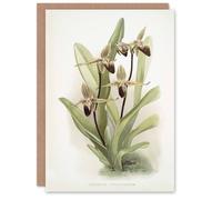 Artery8 Frederick Sander Cypripedium Rothschildianum Orchid Blank Art Greeting Card
