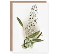 Artery8 Frederick Sander Epidendrum Prismatocarpum Orchid Blank Art Greeting Card