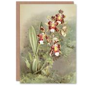 Artery8 Frederick Sander Odontoglossum Harryanum Orchid Blank Art Greeting Card