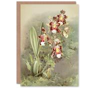Artery8 Frederick Sander Odontoglossum Harryanum Orchid Personalised Art Greeting Card
