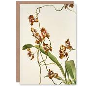 Artery8 Frederick Sander Oncidium Superbiens Orchid Flowers Art Greeting Card Artery8 Multicolor