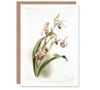 Artery8 Frederick Sander Selenipedium Weidlichianum Orchid Personalised Art Greeting Card