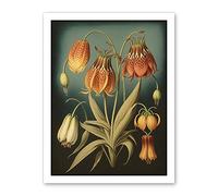 Artery8 Fritillaria Flower Plant Ernst Haeckel Inspired Plant Study Modern Watercolour Painting Illustration Artwork Framed Wall Art Print 18X24 Inch