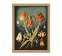 Artery8 Fritillaria Flower Plant Ernst Haeckel Inspired Plant Study Modern Watercolour Painting Illustration Artwork Framed Wall Art Print 18X24 Inch