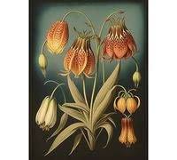 Artery8 Fritillaria Flower Plant Ernst Haeckel Inspired Plant Study Modern Watercolour Painting Illustration Large Wall Art Poster Print Thick Paper 18X24 Inch