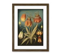 Artery8 Fritillaria Flower Plant Ernst Haeckel Inspired Plant Study Modern Watercolour Painting Illustration Artwork Framed Wall Art Print 18X24 Inch