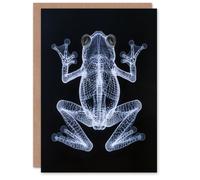 Artery8 Frog Detailed Dark Luminescent Xray Effect Birthday Greeting Card in Black Artery8 Black
