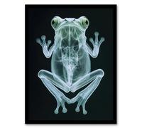 Frog Teal Green Dark Luminescent Xray Effect Framed Art Print Artery8 Black A4