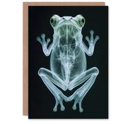 Artery8 Greeting Card Frog Teal Green Dark Luminescent Xray Effect Blank For Him Or Her Art Birthday Card