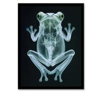Artery8 Frog Teal Green Dark Luminescent Xray Effect Framed Art Print in Black | Size: A4 Artery8 Black A4
