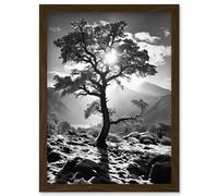 Artery8 Wall Art Print Frozen Tree Outline in Mountain Forest Landscape Covered in Snow Black & White Photograph Winter Sunshine Artwork Framed A4 Artery8 Brown A4