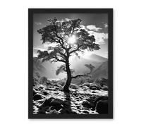 Artery8 Frozen Tree Outline in Mountain Forest Landscape Covered in Snow Black and White Photograph Winter Sunshine Artwork Framed Wall Art Print 18X24 Inch