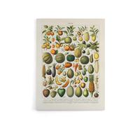 Artery8 Fruits and Vegetables Canvas Wall Art 18X24 Artwork By Nouveau Larousse Illustre : Classic Food Illustration Perfect For Kitchen Or Dining Area Bringing Vintage Warmth And Nostalgia
