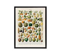Artery8 Fruits and Vegetables Framed Canvas Wall Art 18X24 Artwork By Nouveau Larousse Illustre : Classic Food Illustration Perfect For Kitchen Or Dining Area Bringing Vintage Warmth And Nostalgia
