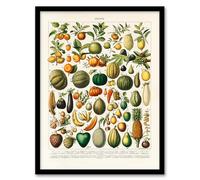 Artery8 Fruits and Vegetables Framed Wall Art Print A4 Artwork By Nouveau Larousse Illustre : Classic Food Illustration Perfect For Kitchen Or Dining Area Bringing Vintage Warmth And Nostalgia