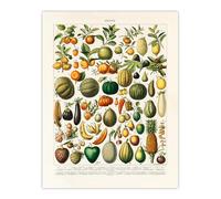 Artery8 Fruits and Vegetables Unframed Wall Art Print 12X16 Artwork Nouveau Larousse Illustre : Classic Food Illustration Perfect For Kitchen Or Dining Area Bringing Vintage Warmth And Nostalgia