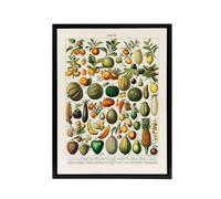 Artery8 Fruits & Vegetables French Encyclopedia Framed Canvas Wall Art in Beige | Size: W12" x H16" Artery8 Beige W12" x H16"