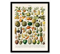 Artery8 Fruits and Vegetables Framed Wall Art Print A4 Artwork By Nouveau Larousse Illustre : Classic Food Illustration Perfect For Kitchen Or Dining Area Bringing Vintage Warmth And Nostalgia