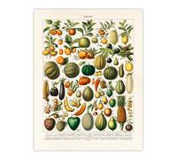 Artery8 Fruits & Vegetables Vintage French Encyclopedia Wall Art Print Poster in Beige | Size: W18" x H24" Artery8 Beige W18" x H24"
