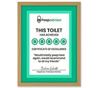 Artery8 Funny Bathroom Wall Art Five Stars Poop Advisor Toilet Sign Bathroom Decor Artwork Framed A3 Wall Art Print