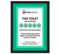 Artery8 Funny Bathroom Wall Art Five Stars Poop Advisor Toilet Sign Bathroom Decor Artwork Framed A3 Wall Art Print