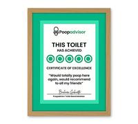 Artery8 Funny Bathroom Wall Art Five Stars Poop Advisor Toilet Sign Bathroom Decor Artwork Framed Wall Art Print 18X24 Inch