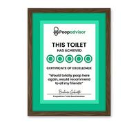 Artery8 Funny Bathroom Wall Art Five Stars Poop Advisor Toilet Sign Bathroom Decor Artwork Framed Wall Art Print 18X24 Inch