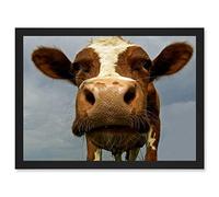 Funny Cow Farm Animal Close Up A4 Artwork Framed Wall Art Print Artery8 Black One Size