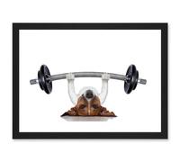Funny Photo Jack Russell Dog Personal Trainer Weight Lifter Artwork Framed Wall Art Print A4 Artery8 Black One Size
