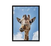 Artery8 Funny up close look at a giraffe Highsmith Framed Canvas Wall Art in Blue | Size: W24" x H32" Artery8 Blue W24" x H32"