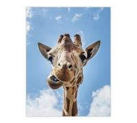 Artery8 Funny Up Close Look At A Giraffe Highsmith Wall Art Poster Print 12X16"