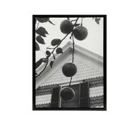 Artery8 Gable & Apples Photograph Alfred Stieglitz Framed Canvas Wall Art in Grey | Size: W12" x H16" Artery8 Grey W12" x H16"
