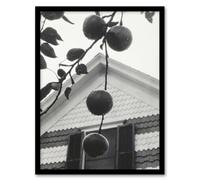 Artery8 Gable & Apples Photograph Alfred Stieglitz Framed Wall Art Print in Grey | Size: A4 Artery8 Grey A4