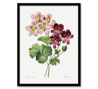 Artery8 Geranium Flowers Illustration Framed Wall Art Print A4 Artwork By Redoute : Crimson Petal Composition Giving Warmth And Vitality To Neutral Living Room Walls