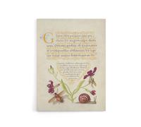 Artery8 Gillyflower Fly Mayfly & Snail Calligraphy Canvas Wall Art Print in Beige | Size: W18" x H24" Artery8 Beige W18" x H24"