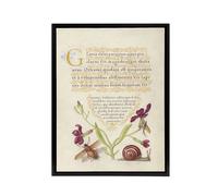 Artery8 Gillyflower Fly Mayfly & Snail Calligraphy Framed Canvas Wall Art in Beige | Size: W24" x H32" Artery8 Beige W24" x H32"
