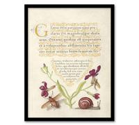 Artery8 Gillyflower Fly Mayfly & Snail Calligraphy Framed Wall Art Print in Beige | Size: W12" x H16" Artery8 Beige W12" x H16"