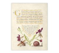 Artery8 Gillyflower Fly Mayfly & Snail Calligraphy Wall Art Poster Print in Beige | Size: W12" x H16" Artery8 Beige W12" x H16"