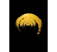 Artery8 Gold Effect Yellow Black Shell Snail Spiral Unframed Art Print Poster Wall Decor 12x16 inch