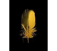 Artery8 Gold Effect Yellow Black Single Feather Texture Unframed Wall Art Print Poster Home Decor Premium