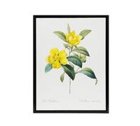Artery8 Golden Guinea Vine Flowers Black Framed Canvas Wall Art Print 12X16 Artwork By Redoute : Golden Vine Design Adding Tropical Character And Bright Mood To Dining Interiors