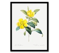 Artery8 Golden Guinea Vine Flowers Framed Wall Art Print A4 Artwork By Redoute : Golden Vine Design Adding Tropical Character And Bright Mood To Dining Interiors