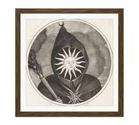 Artery8 Gole Dusart Cartoon Sun King Louis XIV France Engraving Square Wooden Framed Wall Art Print Picture 16X16 Inch