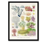 Artery8 Great Barrier Reef Alcyonaria Kent Framed Wall Art Print in White | Size: A4 Artery8 White A4