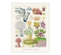 Artery8 Great Barrier Reef Alcyonaria Kent Huge Wall Art Print in White | Size: W24" x H32" Artery8 White W24" x H32"