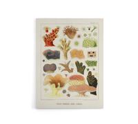 Artery8 Great Barrier Reef Corals Illustration Kent Canvas Wall Art Print in White | Size: W18" x H24" Artery8 White W18" x H24"