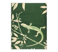 Artery8 Green Eastern Newt Nature Animal Lover Wall Art Print | Size: W12" x H16" Artery8 Green W12" x H16"