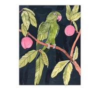 Artery8 Green Parakeet Parrot on Plum Fruit Tree Branch Living Room Large Wall Art Poster Print Thick Paper 18X24 Inch