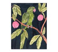 Artery8 Green Parakeet Parrot on Plum Fruit Tree Branch Wall Art Print | Size: W12" x H16" Artery8 Green W12" x H16"